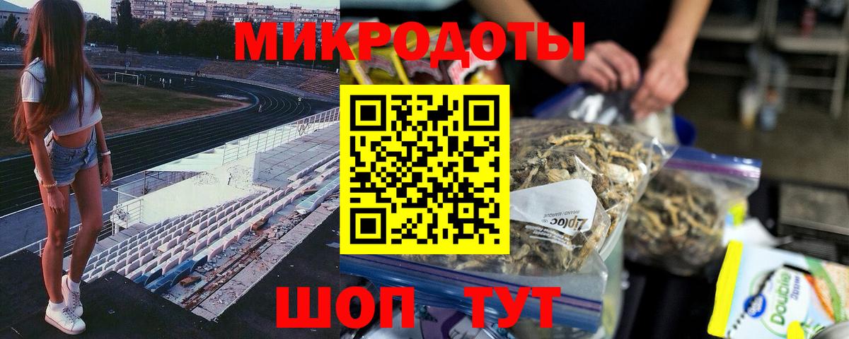Галлюциногенные грибы Psilocybine cubensis Осинники