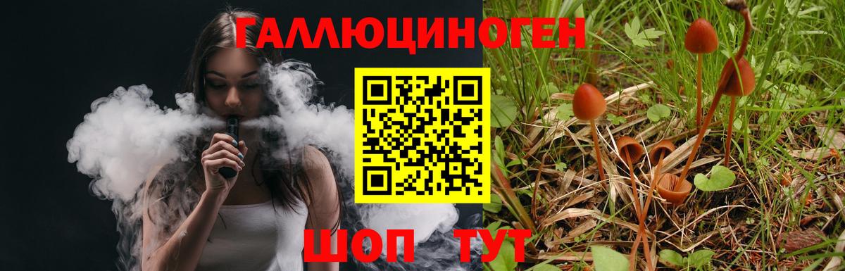 Галлюциногенные грибы Cubensis  наркошоп  Осинники  Вход с VPN 