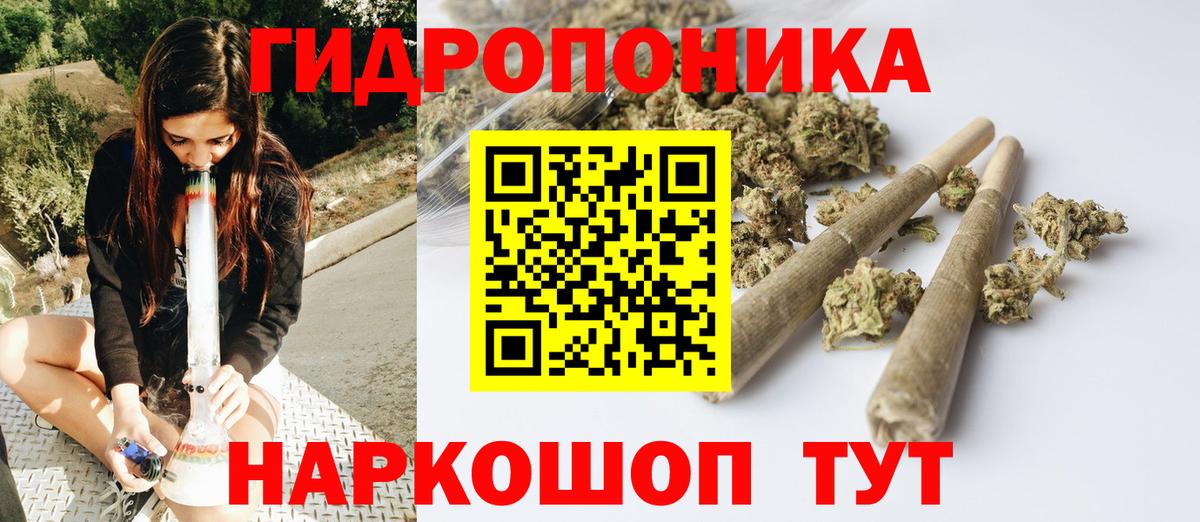 Каннабис план  Вход с VPN  Осинники  Бошки Шишки семена 
